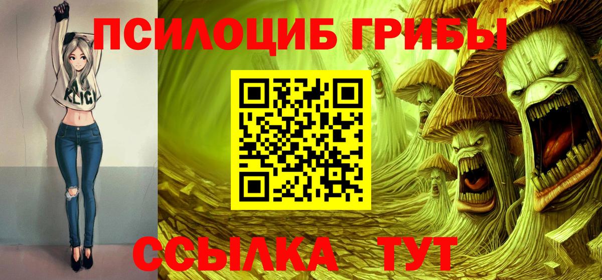 Галлюциногенные грибы Magic Shrooms  где найти наркотики  Кирово-Чепецк  Псилоцибиновые грибы мицелий  Вход с VPN 